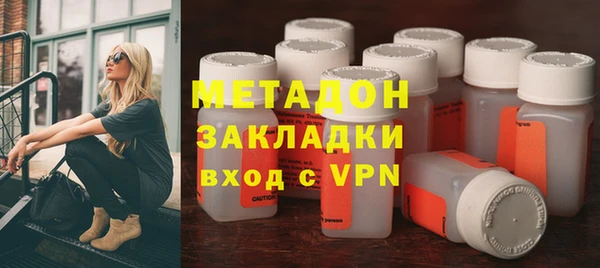 прущие грибы Бородино