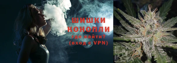 прущие грибы Бородино