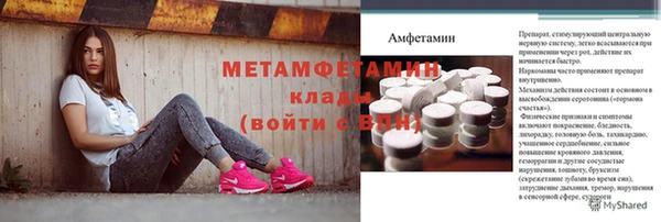 прущие грибы Бородино