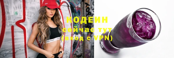 прущие грибы Бородино