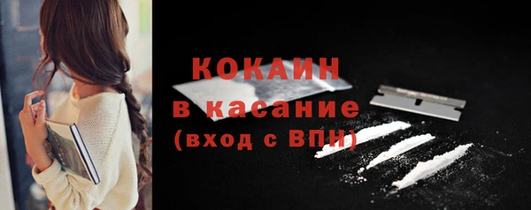 прущие грибы Бородино