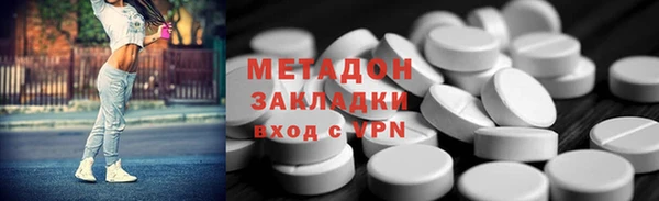 прущие грибы Бородино