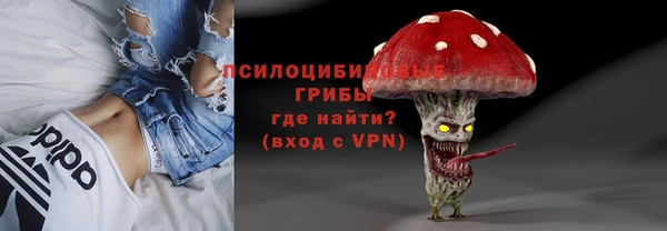 прущие грибы Бородино