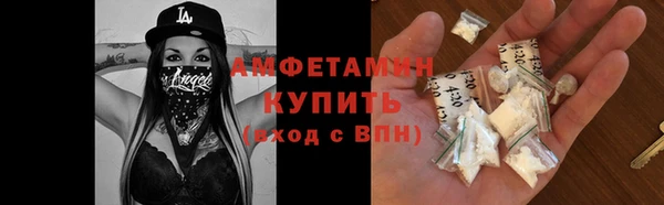 прущие грибы Бородино