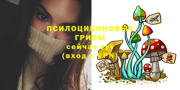 прущие грибы Бородино