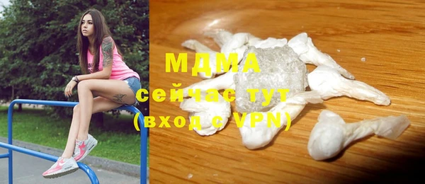 прущие грибы Бородино