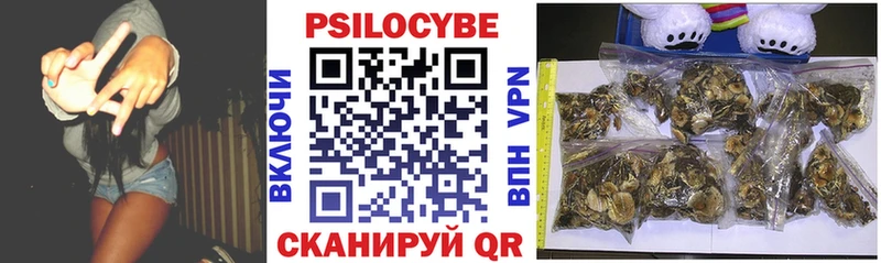 Галлюциногенные грибы Magic Shrooms  Купить где  Луза 